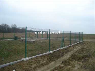 Działka inwestycyjna na sprzedaż Morawica 10 000m2 Foto 5