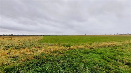 działka na sprzedaż 16543m2 działka Brzesko