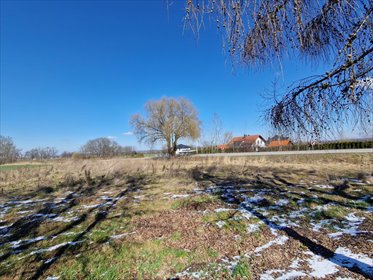 Działka budowlana na sprzedaż Mikołów, Paniowy, Mokierska 1 047m2 Foto 2