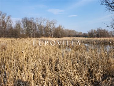 Działka budowlana na sprzedaż Warszawa, Wilanów, Europejska 2 689m2 Foto 2
