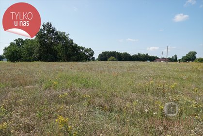 działka na sprzedaż 1949m2 działka Deszczno