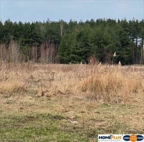 działka na sprzedaż 7000m2 działka Sieraków