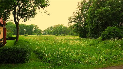 działka na sprzedaż 6010m2 działka Giżyn