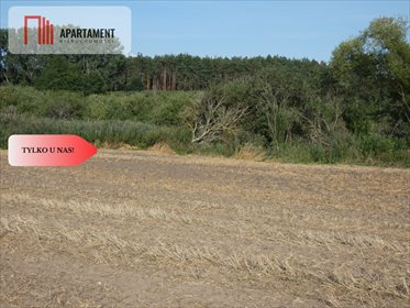 Na sprzedaż działka rolna 34a blisko jeziora Niedźwiady działka Niedźwiady