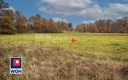 działka na sprzedaż 2231m2 działka Dąbrowa Bolesławiecka, Dąbrowa Bolesławiecka