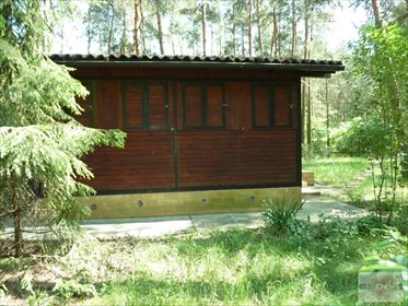 Dom na sprzedaż Bechcice-Kolonia 20m2 Foto 4