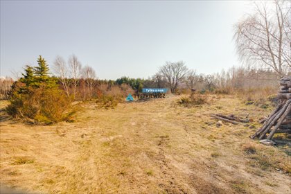 Działka 2167 m² w Wrzeście – cisza, zieleń, prywatność działka Wrzeście