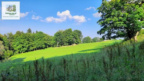 Atrakcyjna działka inwestycyjna lub budowlana w Zieleniec! Polecam! działka Duszniki-Zdrój, Zieleniec, Zieleniec