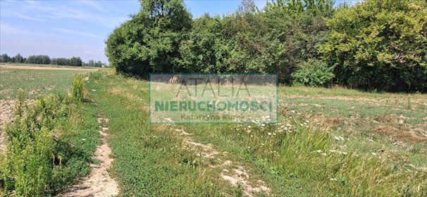 Do sprzedania działka rolna 48 730 m² w Kotowicach działka Kotowice