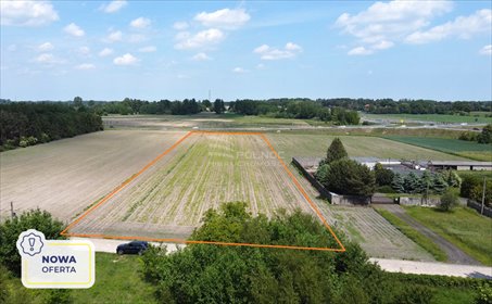 działka na sprzedaż 10686m2 działka Konstantynów Łódzki, Dąbrowa