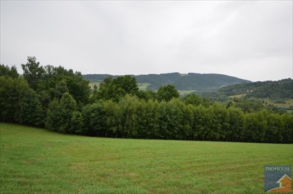 działka na sprzedaż 3005m2 działka Walowa Góra