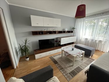 mieszkanie na wynajem 39m2 mieszkanie Stalowa Wola, Centrum, Okulickiego