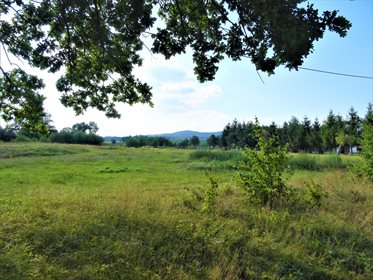 Działka rekreacyjna na sprzedaż Słupice 7 500m2 Foto 2