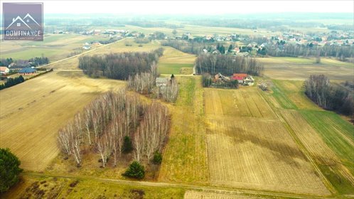 Działka budowlana na sprzedaż Żelazówka 5 900m2 Foto 4