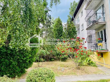 Zapraszam do wynajęcia 62 m² mieszkania w Sopocie Dolnym mieszkanie Sopot, Dolny, Stefana Okrzei