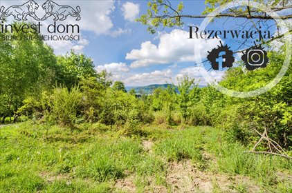 działka na sprzedaż 29852m2 działka Szymbark