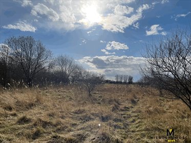 Działka 3750 m² pod zabudowę i agroturystykę (Kołobrzeg) działka Grzybowo, Szkolna