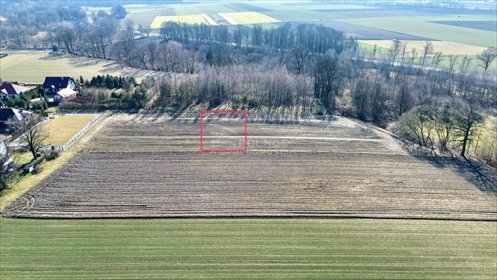 Działka budowlana na sprzedaż Przyszowice 1 150m2 Foto 3