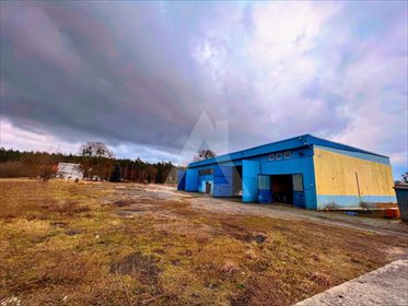 Magazyn na wynajem Brzoza 650m2 Foto 3