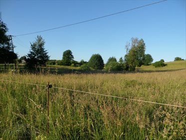 Działka rolna na sprzedaż Stare Kawkowo 3 206m2 Foto 3