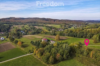 działka na sprzedaż 8100m2 działka Grabówka