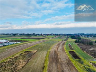 działka na sprzedaż 6800m2 działka Lisia Góra