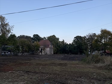 Do sprzedania działka 4300 m² przy parku w Kowalowicach działka Kowalowice, Kręta