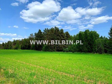 działka na sprzedaż 5000m2 działka Buda Ruska