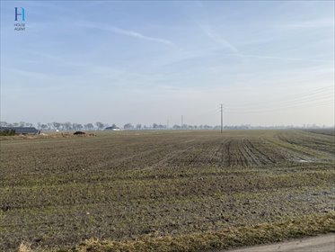 działka na sprzedaż 56832m2 działka Uniejów, Polna