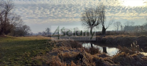 Zapraszam do zakupu działki z linią brzegową rzeki i warunkami zabudowy działka Cholewy