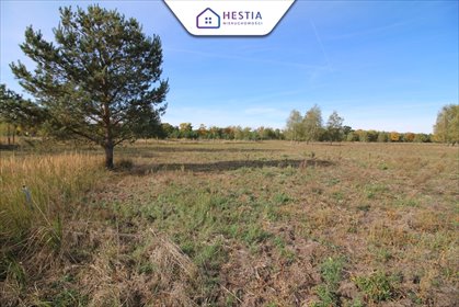 Działka 1586 m² pod lasem, uzbrojona, z planem zagospodarowania zapraszam działka Grzepnica