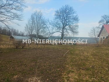 Gospodarstwo 287 ha z zabudową i bydłem – Sigajny działka Sigajny