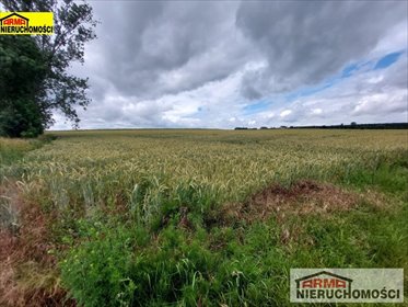 działka na sprzedaż 32900m2 działka Bielkowo