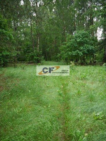 działka na sprzedaż 14600m2 działka Badów Górny