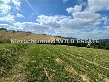 działka na sprzedaż 6521m2 działka Lesko, Średnia Wieś