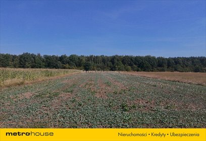 działka na sprzedaż 3782m2 działka Pławniowice, Parkowa