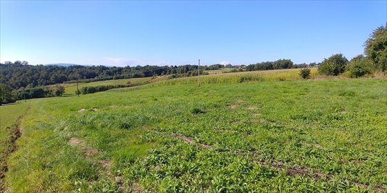 działka na sprzedaż Bieńkowice 6000 m2