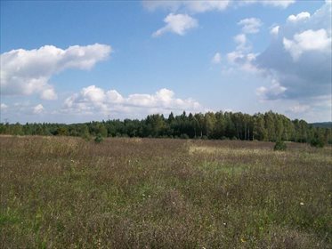 działka na sprzedaż 87461m2 działka WRĘCZYCA WIELKA, Grodzisko