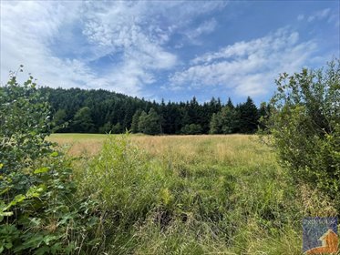 działka na sprzedaż 600m2 działka Porąbka