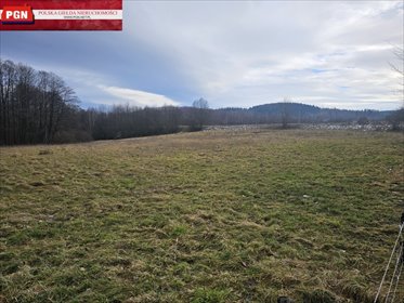 działka na sprzedaż 11600m2 działka Radochów