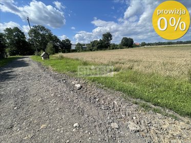 Działka 2905 m² z dostępem do stawu i WZ (Tułowice) działka Tułowice