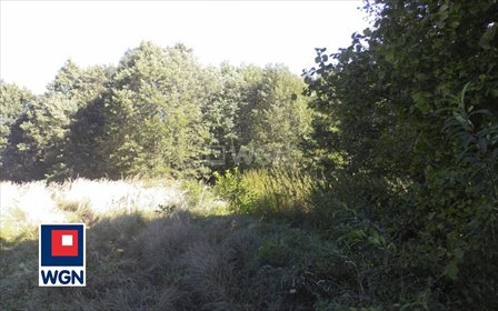 działka na sprzedaż 15740m2 działka Szarlejka, Łukasiewicza, Łukasiewicza