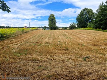 Działka budowlana 1555 m² w Celinach - media przy działce działka Celiny