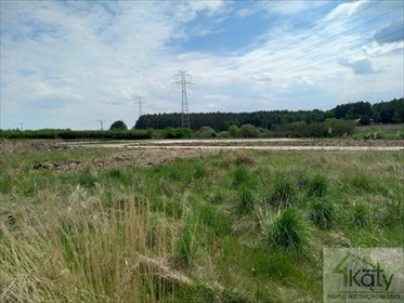 działka na sprzedaż 11944m2 działka Wójtowo