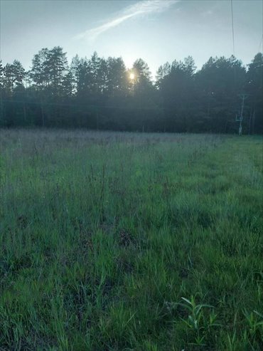 działka na sprzedaż 11234m2 działka Nowy Lipsk
