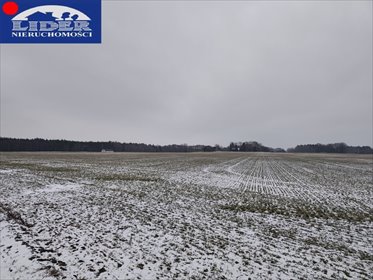 działka na sprzedaż 116083m2 działka Jerzykowo