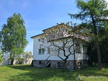 działka na sprzedaż 3300m2 działka Ostrów Wielkopolski