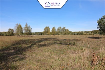 działka na sprzedaż 1500m2 działka Grzepnica