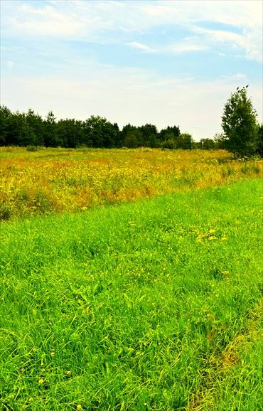 działka na sprzedaż 360m2 działka Chochołów