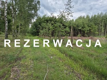 Działka 7,88 ha z lasem i warunkami zabudowy działka Wapnica